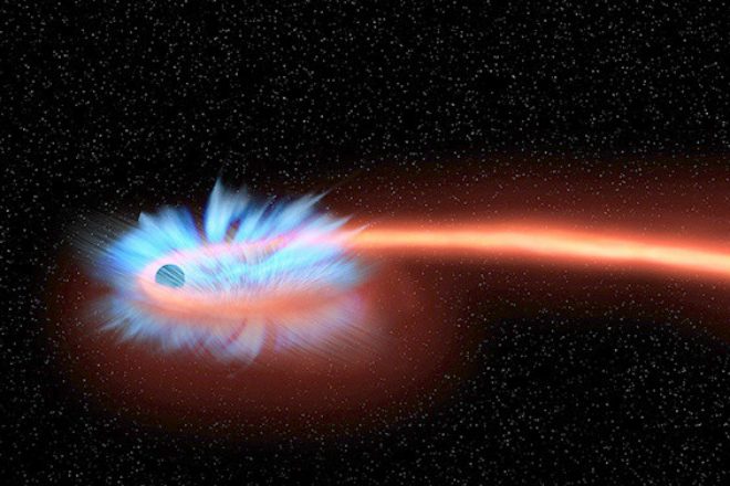 НАСА опубликовало видео, как прожорливая чёрная дыра поглощает звезду