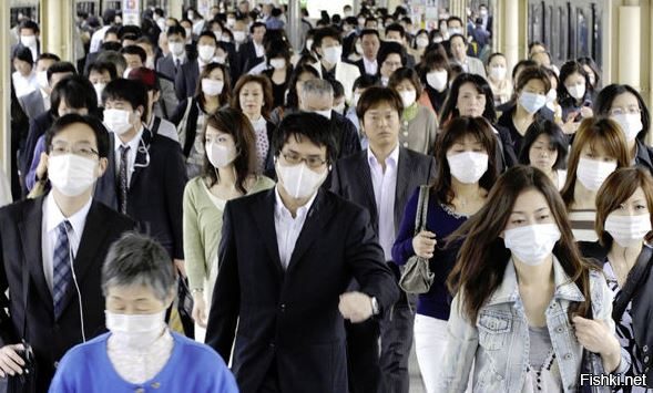 Японские учёные создали идеальное лекарство от гриппа