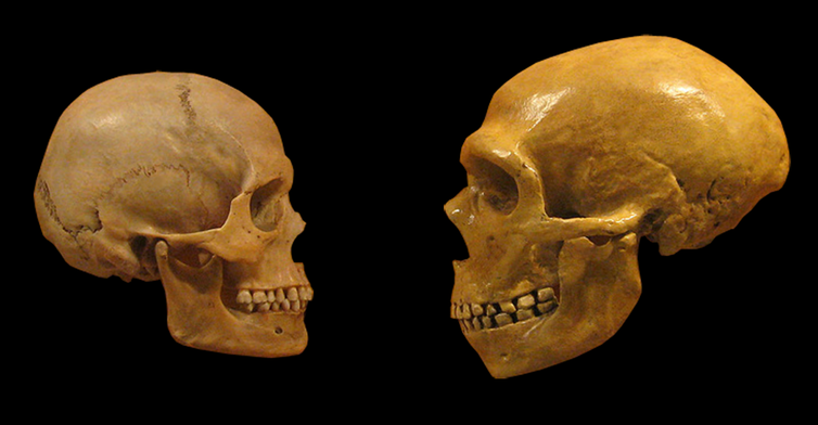 5 фактов о древних людях, которые мы узнали благодаря анализу ДНК