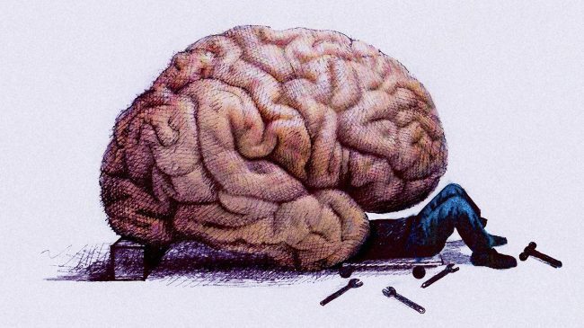 Новый алгоритм приблизил учёных к полной симуляции мозга