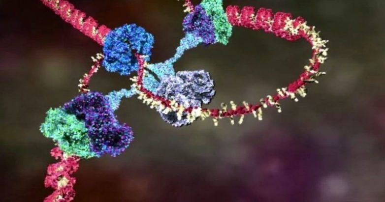 Залипательное видео, показывающее, как функционирует ДНК