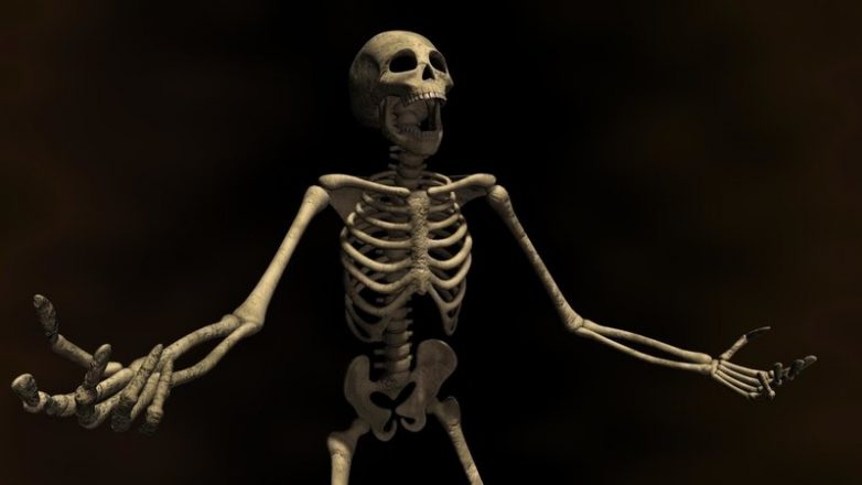 9 любопытных фактов о скелете человека