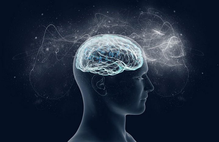7 удивительных фактов о нашем мозге