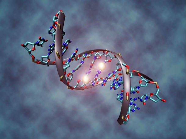Интересная генетика: 14 любопытных фактов о ДНК