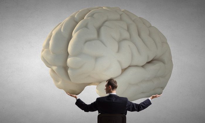 Головной мозг: размер имеет значение?