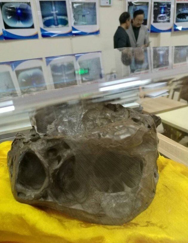 Охотник за НЛО продемонстрировал череп пришельца