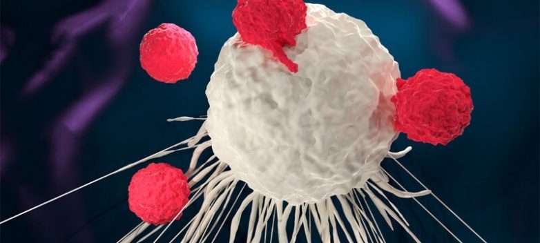 Учёные научили раковые клетки убивать самих себя