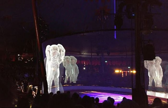 Немецкий цирк использует голограммы вместо слонов