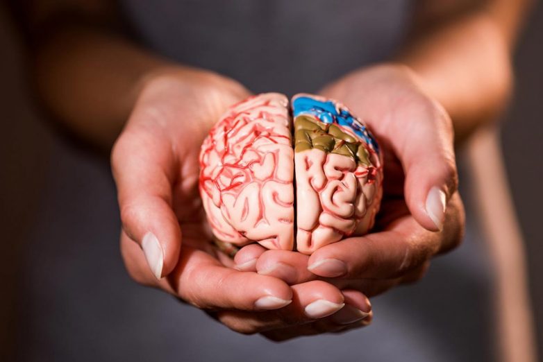 15 поразительных фактов о мозге и мышлении