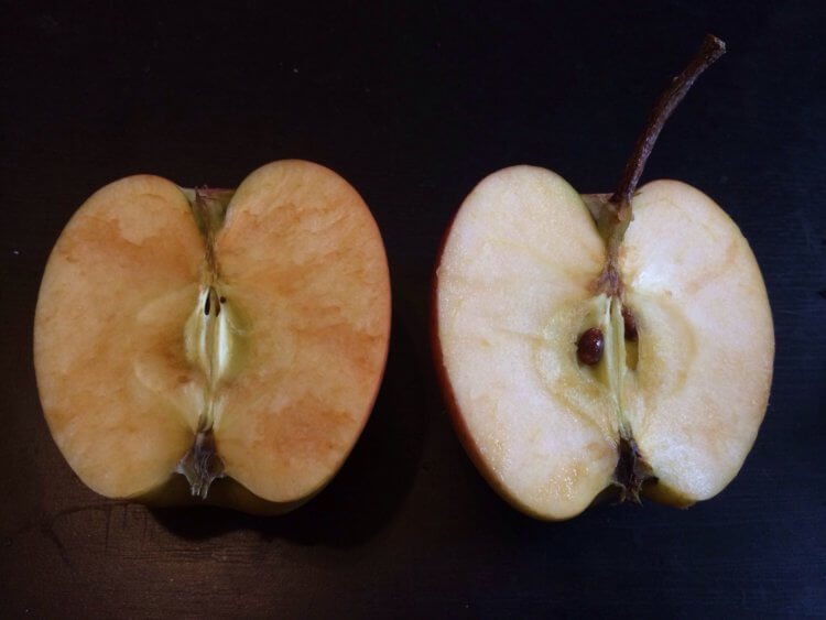 Почему на самом деле яблоки делаются коричневыми?