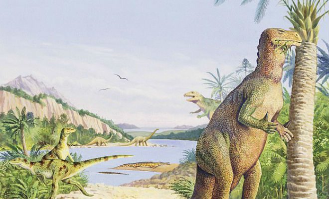 В отколовшейся скале случайно обнаружен окаменевший динозавр