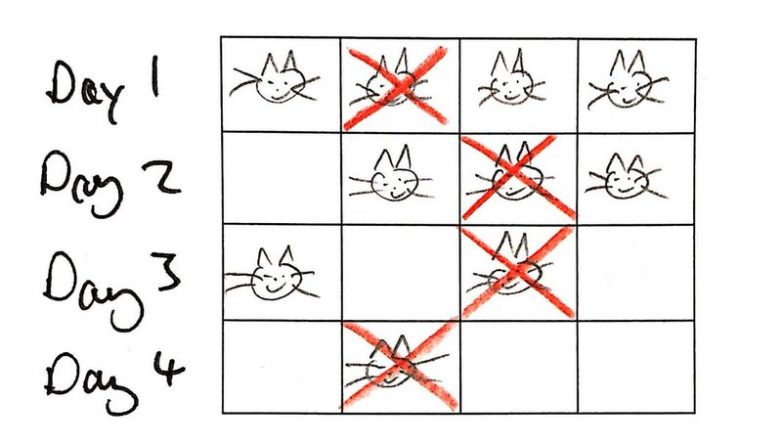 Задачка на логику про кота и 7 дверей
