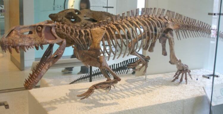 Этих древних монстров боялись даже динозавры!