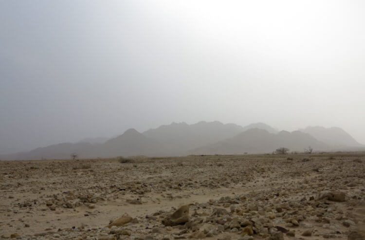 Вопрос на засыпку: откуда в пустынях берётся песок?