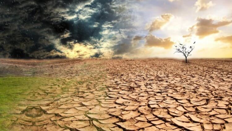 Зелёная Сахара — грёзы или скорое будущее?