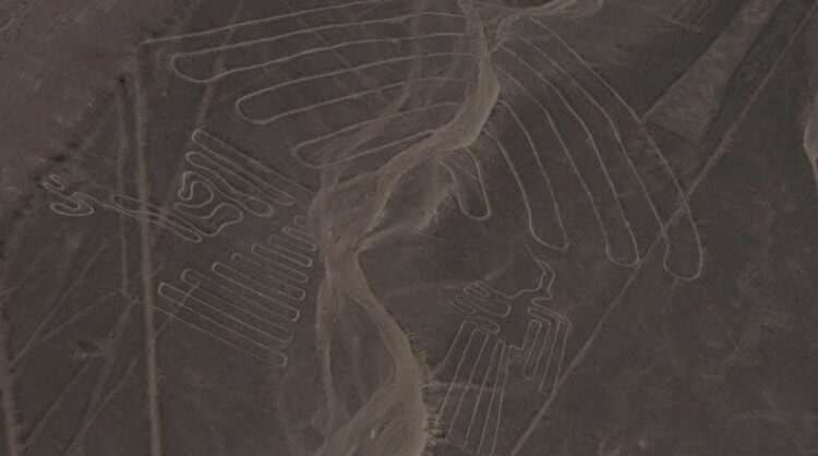 На плато Наска нашли гигантского кисика