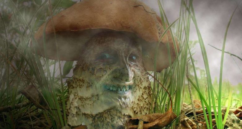 Прирождённый убийца: как охотится хищный гриб