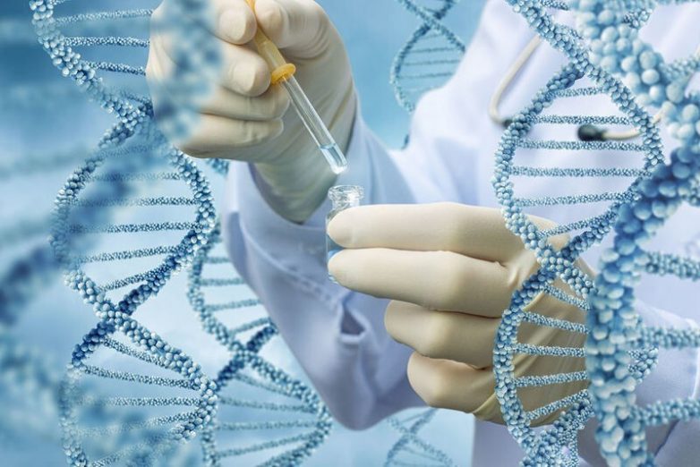 История одного открытия: как расшифровывали ДНК