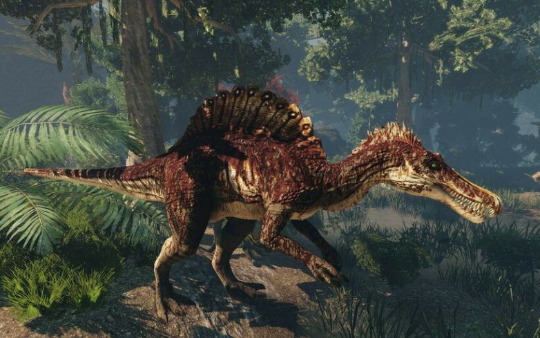 Что общего у динозавров и современных цапель?