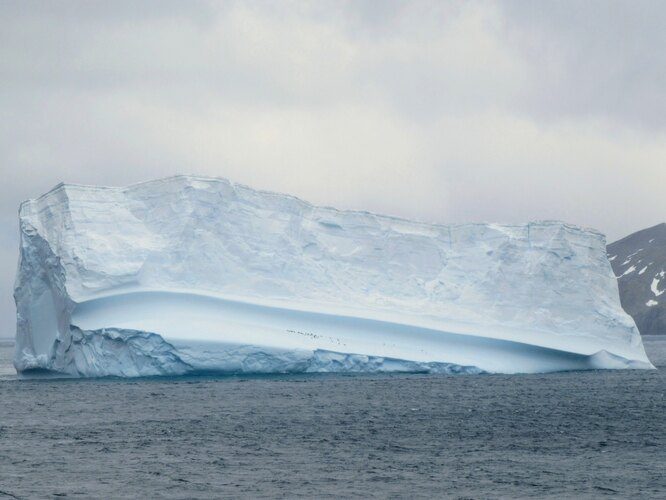 Подлёдный мир Антарктиды