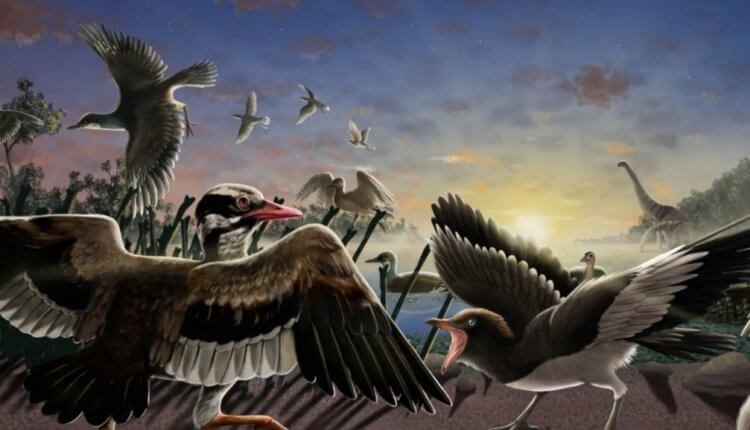В Китае обнаружены окаменелости диковинных птиц
