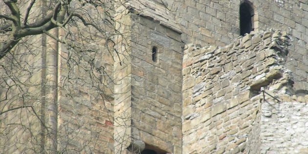 11 мифов о средневековых замках, в которые мы зачем-то верим