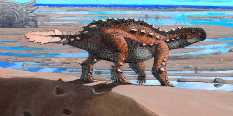 Палеонтологи нашли останки неизвестного ранее вида анкилозавра