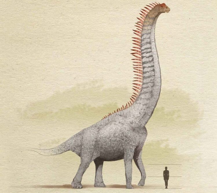 В Америке найдены следы динозавра, который топтал землю 113 миллионов лет назад