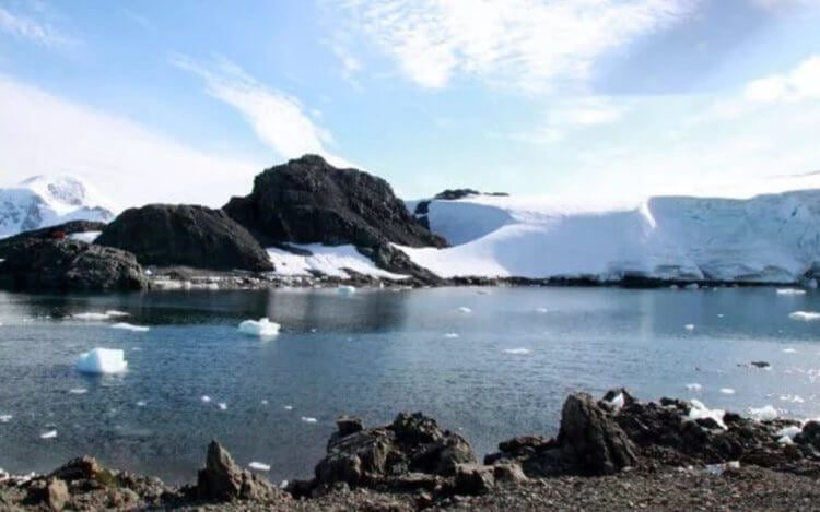 В Антарктиде найдено озеро странной формы — что в нём необычного?