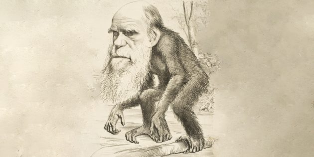 10 популярных мифов об эволюции, которые пора развеять