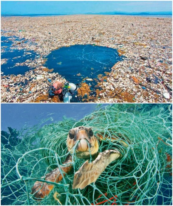 Океанический пылесос: разработан концепт плавучей станции для очистки планеты от мусора