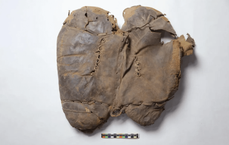 В Китае найдено древнейшее седло, которому 2700 лет