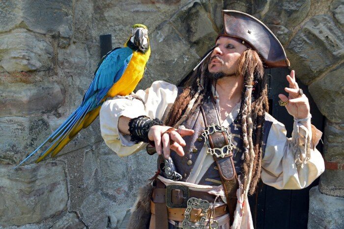 Зачем пираты на самом деле заводили попугаев?