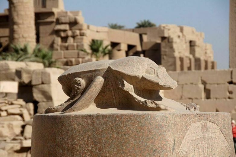 Почему древние египтяне поклонялись навозным жукам