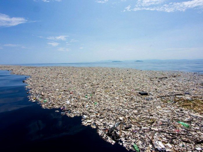 В Индийском океане планируют возвести остров из пластикового мусора
