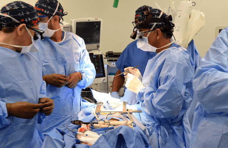 Хирурги США провели операцию по пересадке свиного сердца человеку