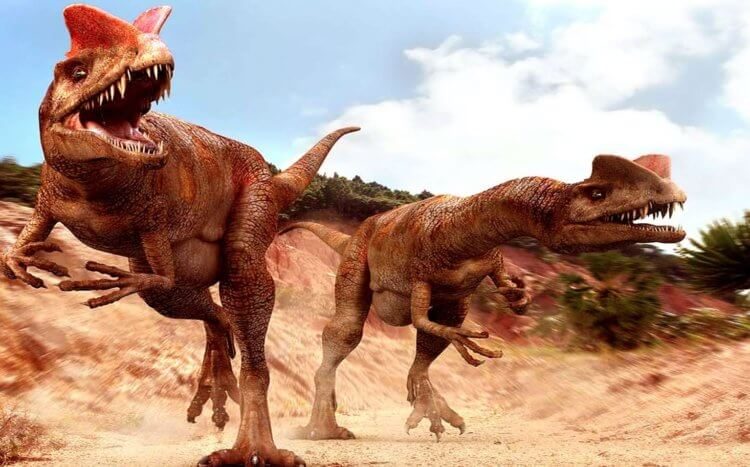 Во всём виноваты динозавры, или Почему наш век так скоротечен