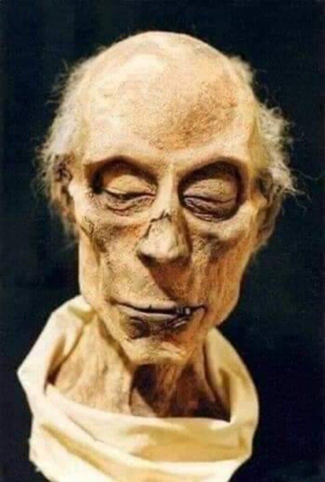 Нейросеть реконструировала лицо Рамсеса II по мумии