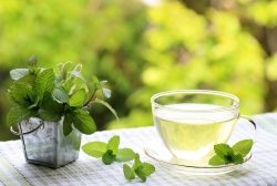 Травяные чаи — польза, рецепты
