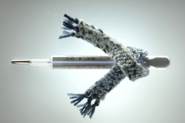 Опасный грипп: как правильно болеть и лечить вирус