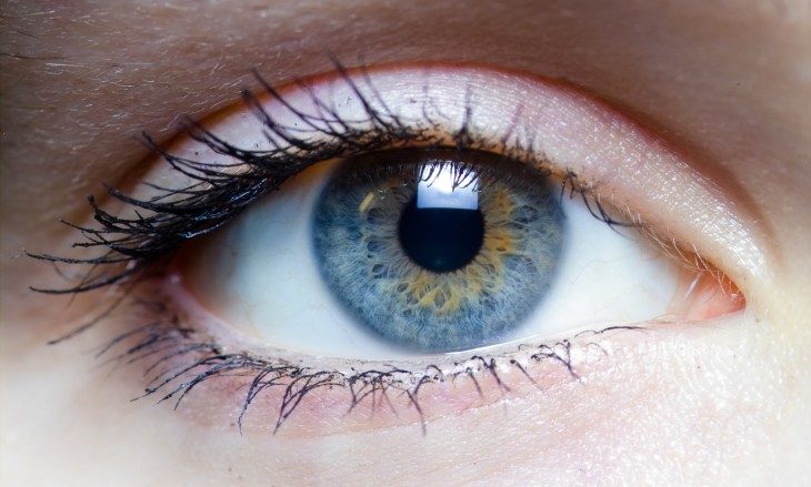 10 важнейших фактов о глазах