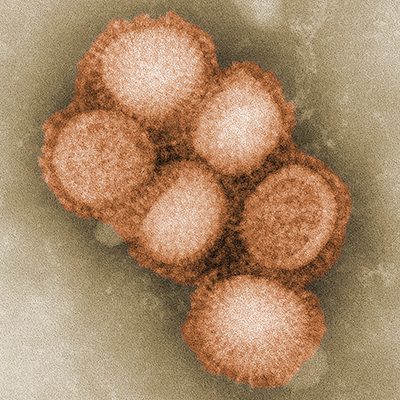 6 опасных мифов о гриппе и простуде