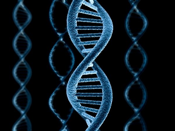 25 интересных фактов про ДНК