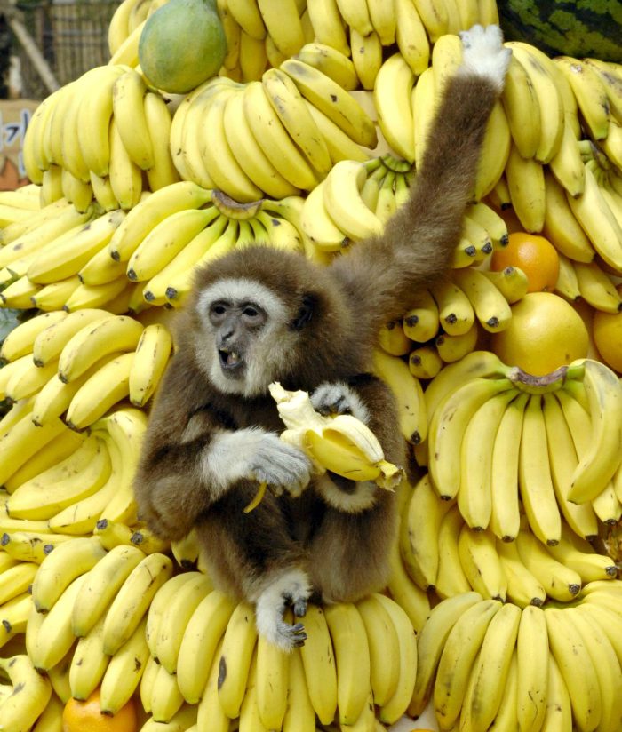 7 причин есть бананы