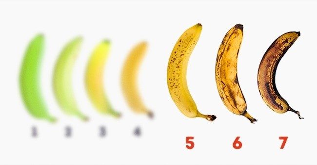10 малоизвестных полезных свойств банана