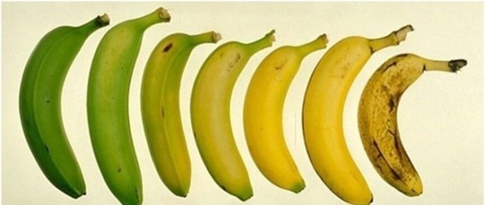 10 малоизвестных полезных свойств банана
