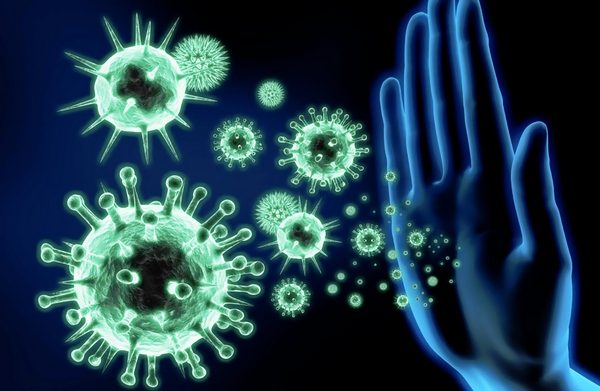 9 интересных фактов об иммунной системе