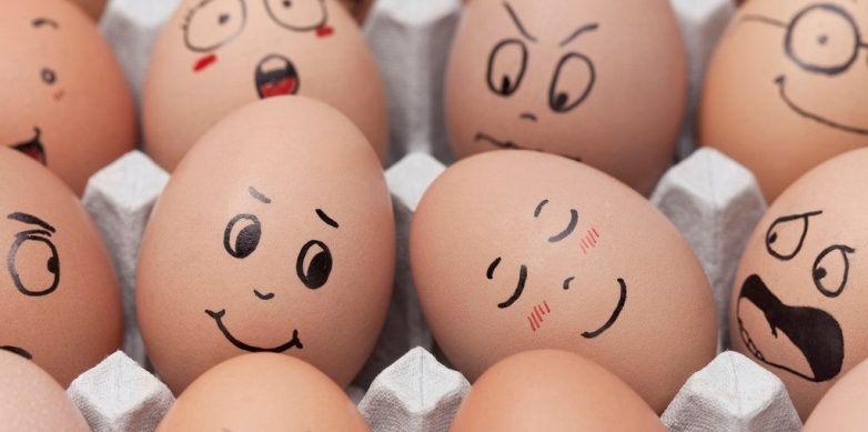 10 интересных фактов о яйцах