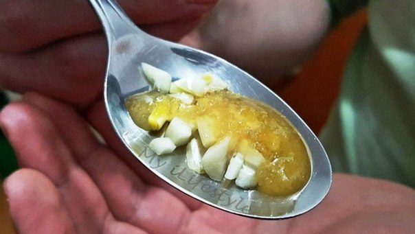 Чеснок с медом - эффективное средство борьбы с простудой
