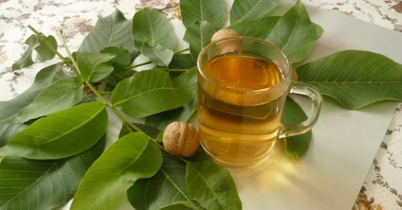 Листья грецкого ореха - натуральное природное снадобье!